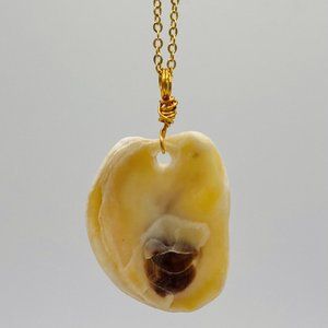 Shell Pendant on 18" Gold Chain Necklace; G18-19
